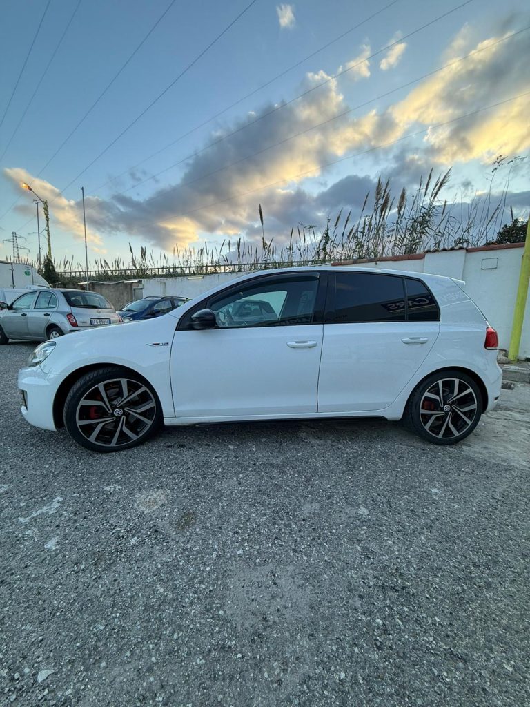 WhatsApp Image 2026-02-19 at 17.56.15